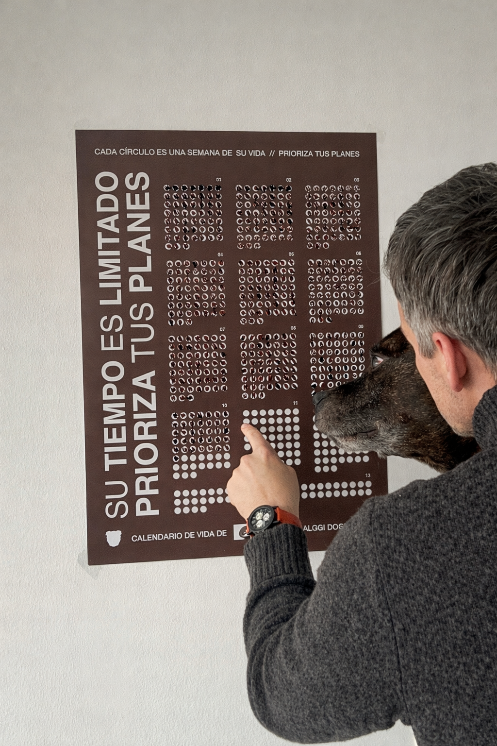 Calendario de vida de tu perro
