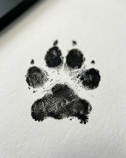 Si no te gustan los perros, no me gustas tú