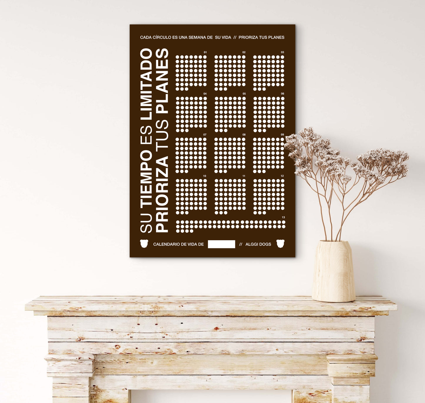 Calendario de vida de tu perro