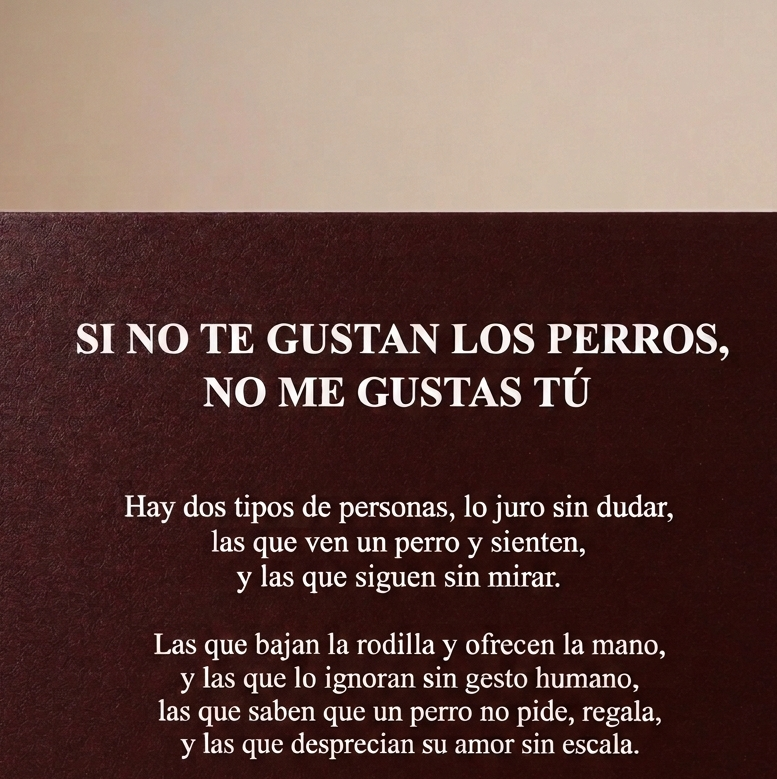 Manifiesto - "Si no te gustan los perros, no me gustas tú"